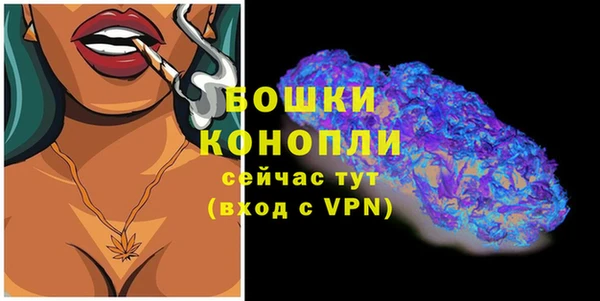 гашик Нефтекумск