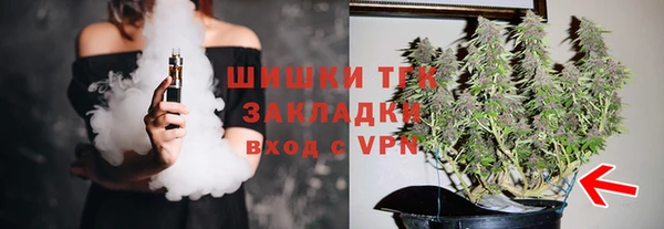 гашик Тобольск
