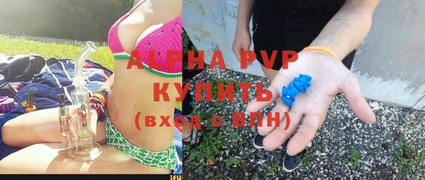 гашик Нефтекумск