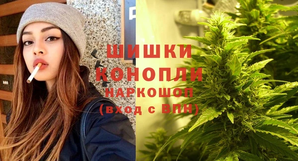 ГАЛЛЮЦИНОГЕННЫЕ ГРИБЫ Нея