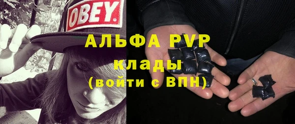 гашик Нефтекумск