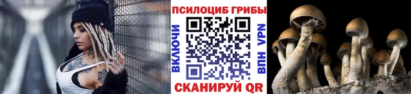 где можно купить   omg как войти  Галлюциногенные грибы GOLDEN TEACHER  Белая Холуница 